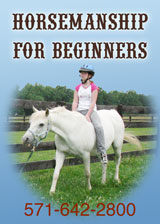 Horsemanship for Beginners