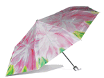 First Bloom fundraiser umbrella